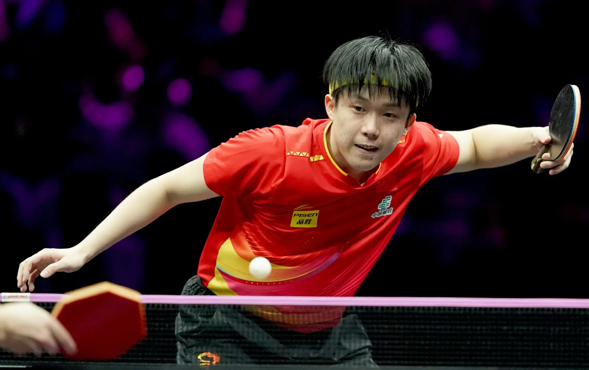 msn, 刘杨子 msn, 刘杨子